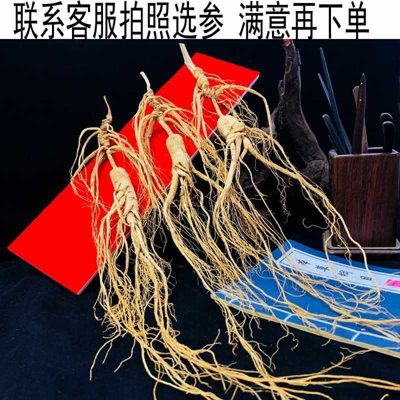 65年野山参长白山人参正宗野生林下参高档礼盒装东北干参泡酒煲汤