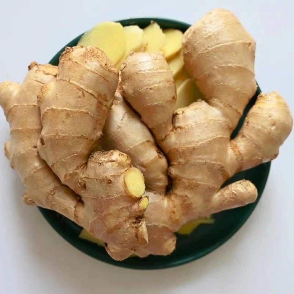山东老姜5斤老姜姜老姜母月子姜风干姜块姜姜10斤新鲜蔬菜