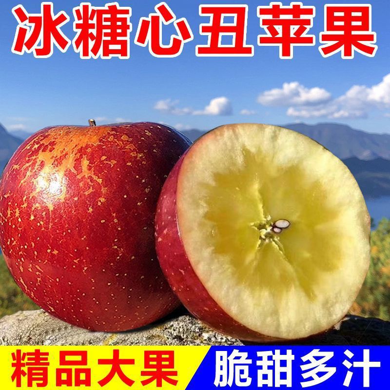 云南高原非阿克苏冰糖心苹果新鲜水果批发当季整箱应季丑苹果正品