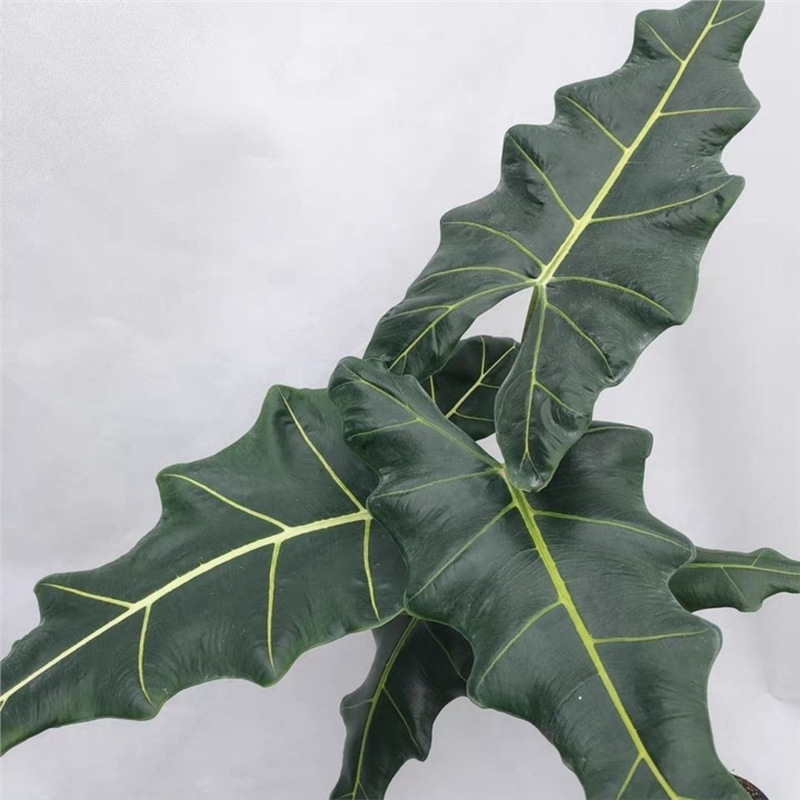 网红北欧风海芋合集绿植室内办公室盆栽观叶植物粉龙萨利安黄貂鱼