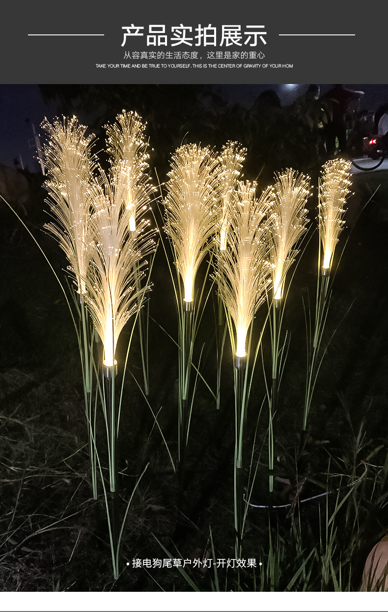 led光纤芦苇狗尾草地插灯户外仿真公园景观亮化草坪灯蒲苇亮化灯