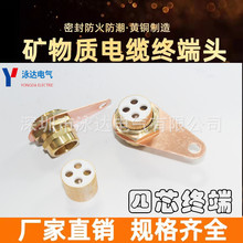 BTTZ终端头单芯矿物质电缆终端头BTTZ终端头1*16现货规格齐全4*10