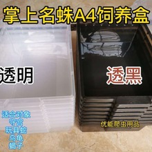 A4A3爬宠饲养盒PVC爬柜A4盒豹纹守宫抽屉玩具蛇抽拉盒a3