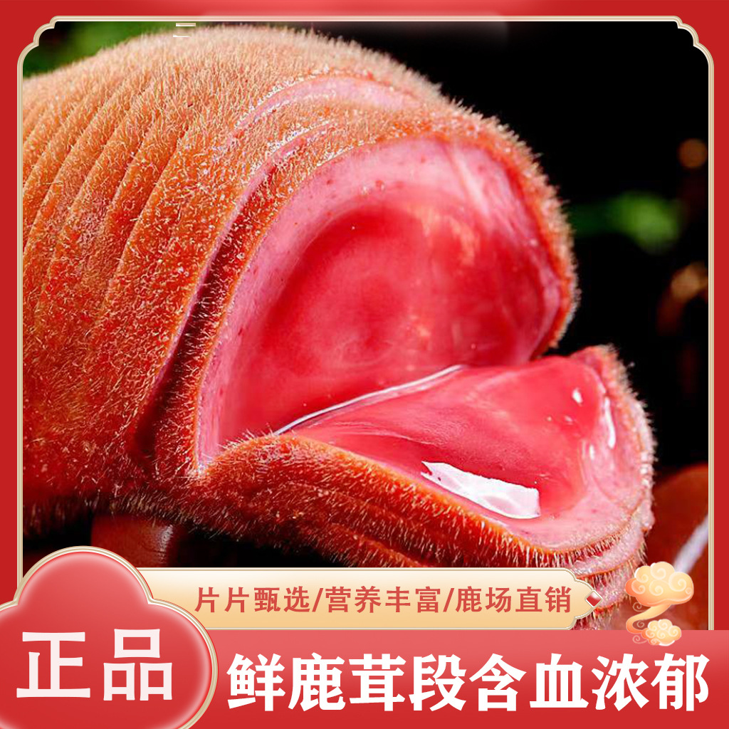 鲜鹿茸段 批发东北特产吉林鹿乡100g鲜鹿茸段切片泡酒煲汤鲜鹿茸