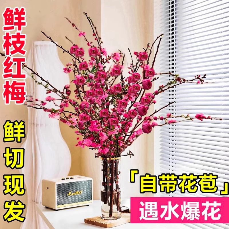 带花水培红梅花桃花树干枝珍珠李鲜花室内花卉雪柳盆栽切养绿植物