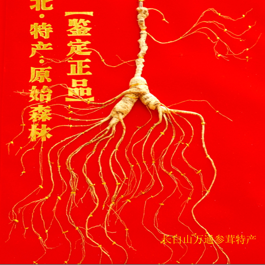 东北长白山40年林下野山参林下干参野生人参移山参灵阳参礼盒包邮