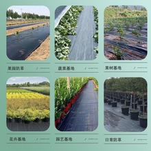 防草布除草布耐用生态果树地膜园树防长草新型遮草布农用园艺地布