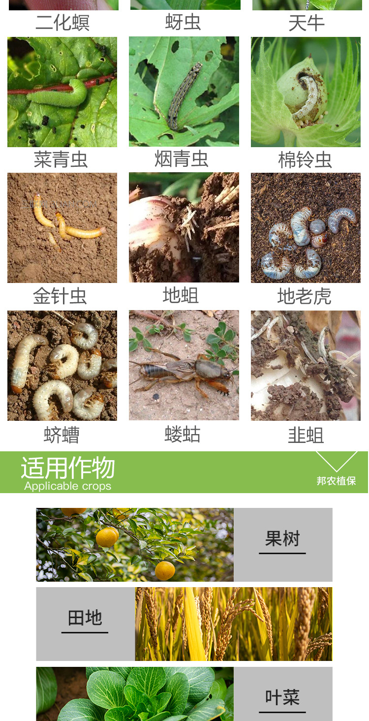 50%敌百辛硫磷地下害虫根蛆黑头蛆蛴螬地老虎蝼蛄螟虫农药杀虫剂