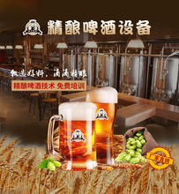 自酿啤酒设备 微小型啤酒设备 酿酒发酵罐 啤酒机