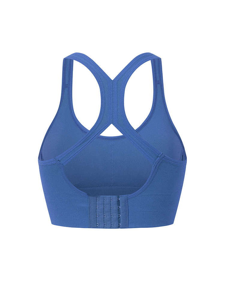 Internet Hot Sports Underwear Women's Yoga Clothes Medium High Strength Chest Cover Anti-Shock and Anti-Sag Running Vest Large Size