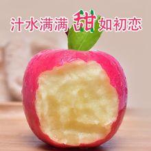 【现货速发】静宁红富士苹果水果新鲜红富士整箱5斤/10斤冰糖心