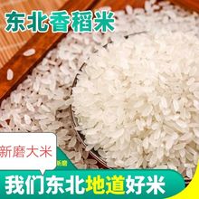 新大米东北蟹田米10斤五常大米5斤圆粒新米2.5kg大米珍珠米