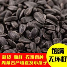 生瓜子黑珍珠小1/2/3/5斤毛嗑油葵生熟炒货零食批发葵花籽独立站