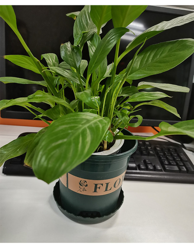 加工绿色加仑盆树脂控根盆阳台种菜盆栽绿植月季多肉创意塑料花盆