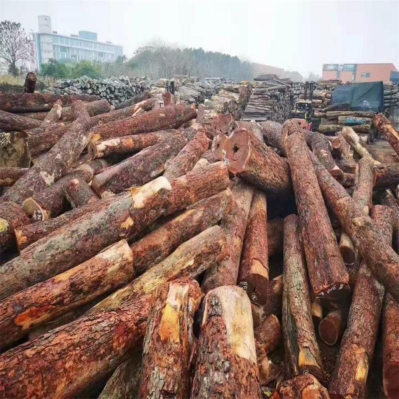 黄金紫檀 澳洲黄金紫檀 黄金紫檀原木 金星紫檀适用于家具工艺品