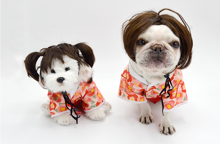 宠物日本和服狗狗武士装狗狗衣服泰迪衣服猫咪衣服创意宠物服装萌