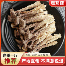 新货鹿茸菇干货500g福建省古田食用农产品特产菌菇煲汤磨菇食材