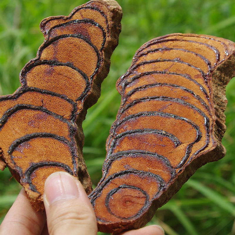 广西正宗野生鸡血藤根片中药材泡茶泡酒血风藤女性滋补养生原材料