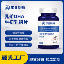 华北制药乳矿DHA牛初乳钙片儿童青少年咀嚼片一件代发批发