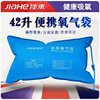 Jiahe Oxygen bag household portable Oxygen the elderly pregnant woman Oxygen 42L High-capacity Medical oxygen Air bag