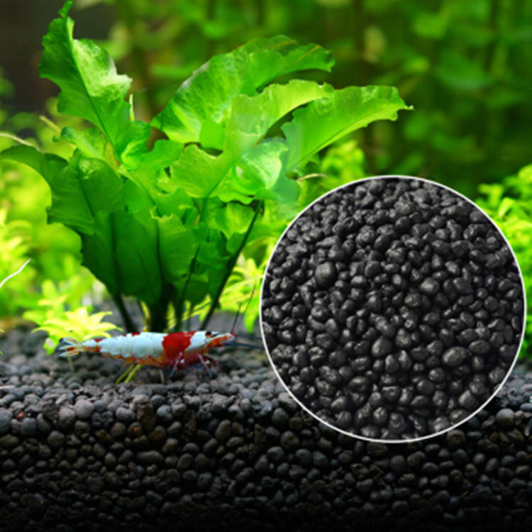 水草及肥料最新报价走势分析-懒人凤尾宠物水族园艺鱼缸淡水-阿里巴巴