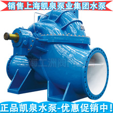 双吸泵 凯泉水泵 上海泵业集团有限公司水泵 主品离心泵Galileo G