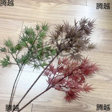 仿真羽毛枫单支青龙羽毛枫红枫叶装饰仿真枫树叶造型树制作树枝
