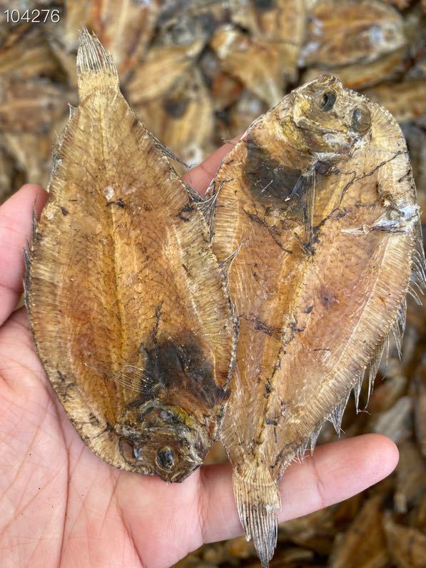 大地鱼干比目鱼铁脯鱼非500g比目鱼干货自晒海味水产干货批发