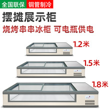 冰柜台式冷藏展示柜小型移动夜市冷冻保鲜三轮车摆摊展示柜卧式