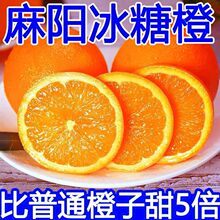 【现摘】湖南麻阳冰糖橙当季新鲜水果薄皮橙子脐橙果冻橙血橙批发