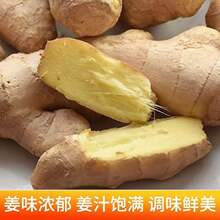 新鲜生姜山东大姜老姜母5斤现挖沙姜老姜土姜土特产月子姜大_阿里巴巴