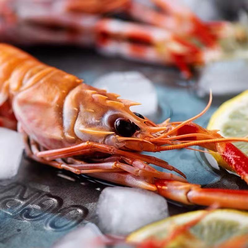 大号舟山鳌虾鲜活冷冻海龙虾刺身甜虾海捕生吃虾国产海鳌虾现货