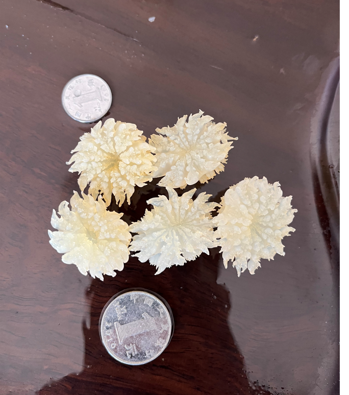 小菊花海蜇头酒店会所鲜脆即食海蜇花水母裕海源400g*2包