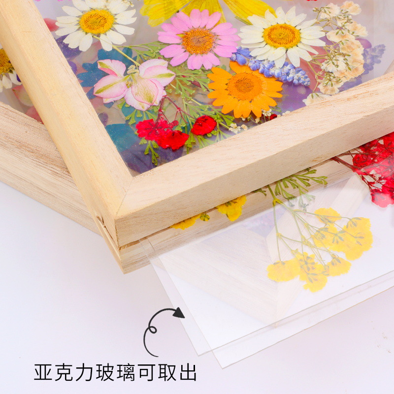 Handmade DIY Embossed Photo Frame Material Kit Decoration Painting Frame Transparent Glass Dried Flower Plant Specimen Box