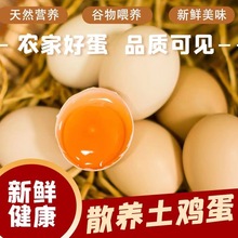 50枚散养土鸡蛋新鲜鸡蛋【40g】左右一枚 散养土鸡蛋中国大陆全年