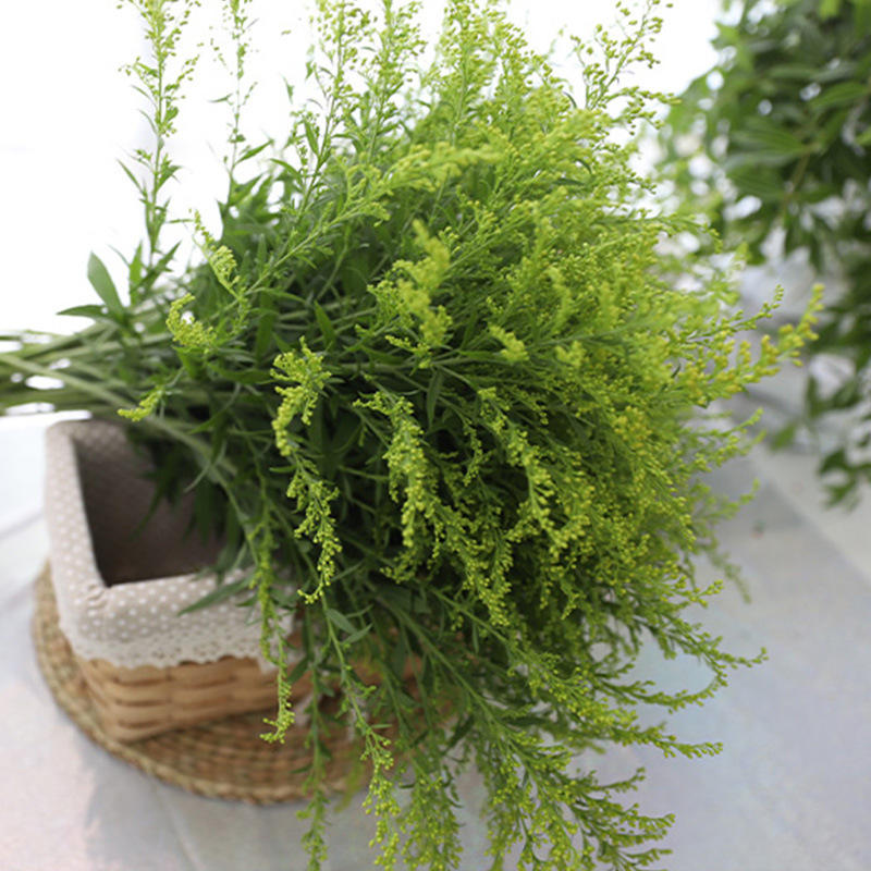 批发云南基地直发黄英鲜花花束配草配叶混搭配花插花水养花观赏花