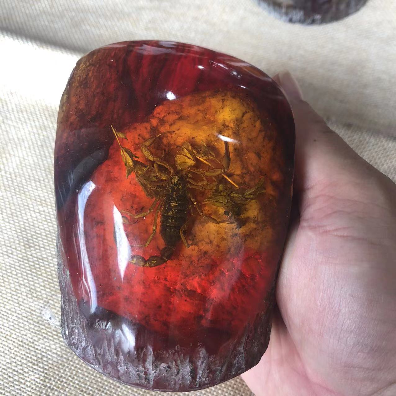 古玩工艺品树脂琥珀带虫子蝎子知了螃蟹蝴蝶昆虫标本树桩摆件