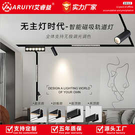 LED磁吸轨道灯 全屋蓝牙智能无主灯照明涂鸦ZigBee智能调光磁吸灯