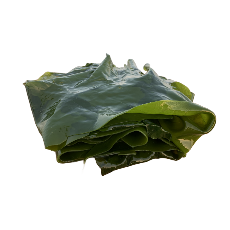 荣成新鲜野生盐渍海带边薄嫩凉拌火锅食材大片包饭菜煲汤商用海菜