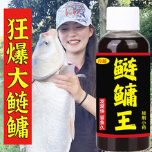 鲢鳙专用钓鱼小药野钓添加剂蒜酸臭味大头鱼花白鲢饵料诱鱼开口剂