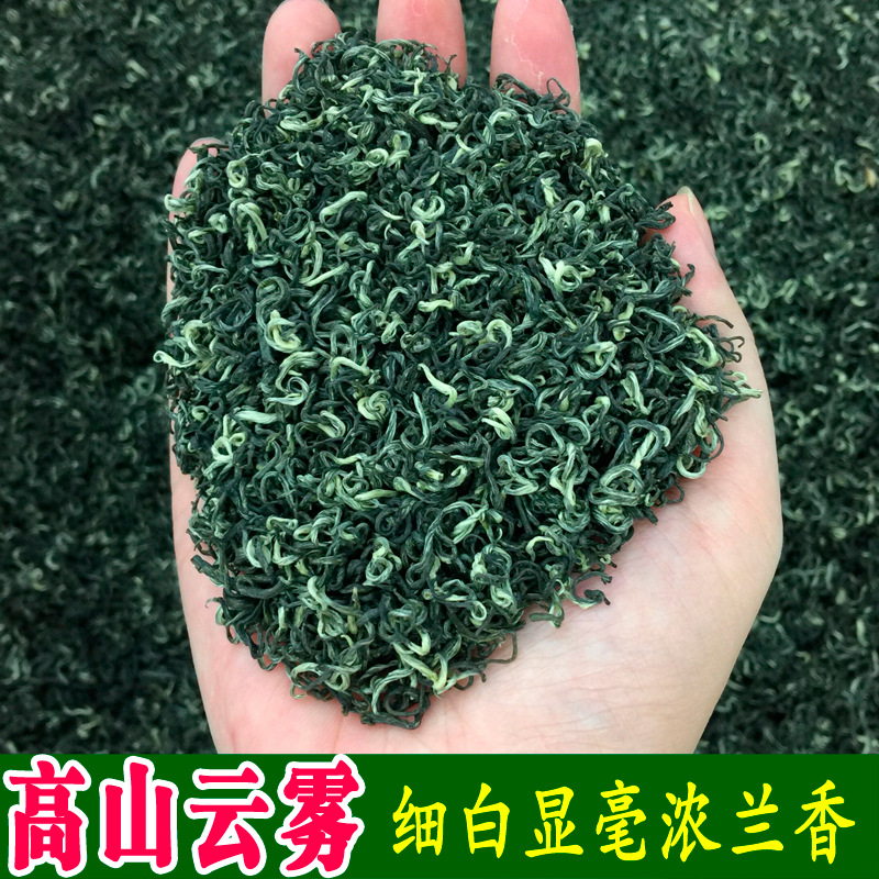 艾达福2024年显毫绿茶茶叶批发散装浓香春茶炒青庐山工艺高山云雾