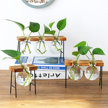 ins北欧木艺铁架水培容器绿萝植物透明玻璃花瓶创意办公桌面装饰