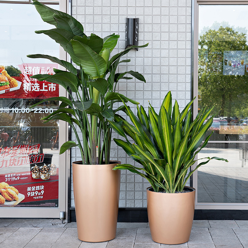 大型落地花盆自吸水懒人圆形高款大口径别墅酒店大堂绿植花盆特大