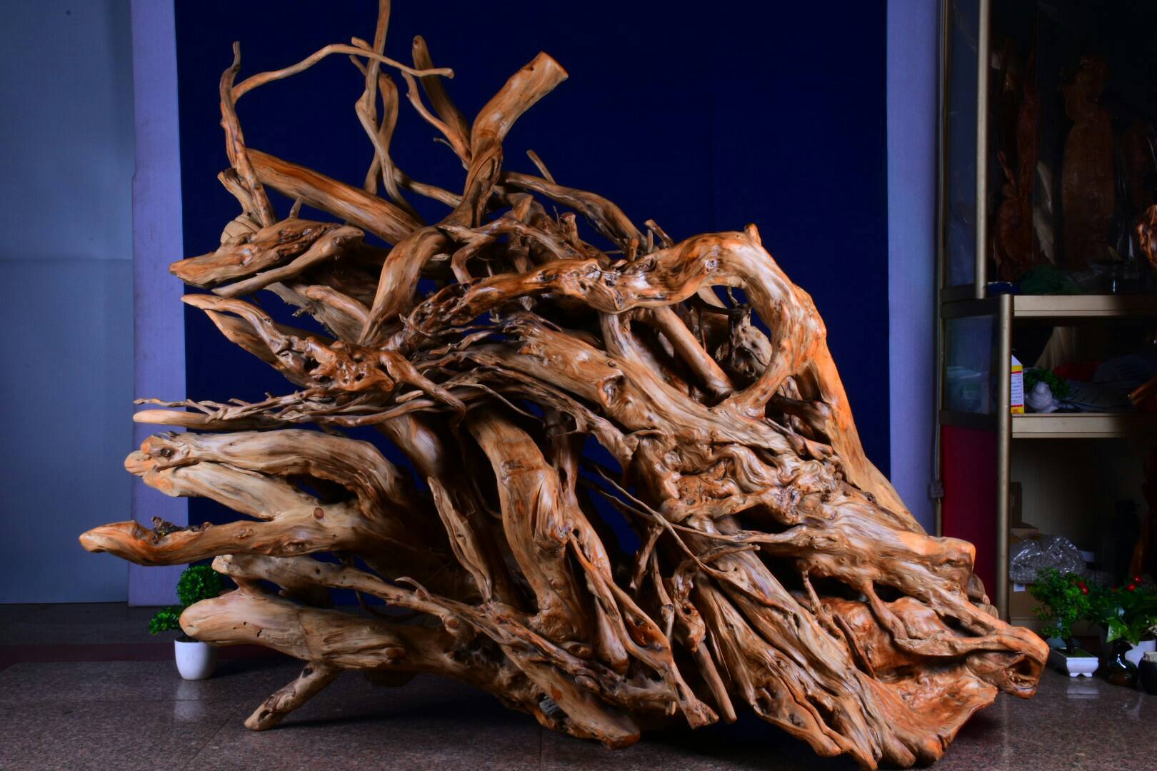 崖柏木大型陈化红油料根雕居家办公木雕虎皮实 木景观带留疤摆件