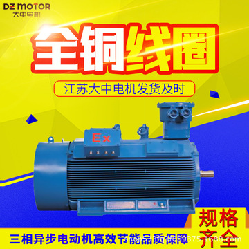 江苏大中电机马达ybx3隔爆型高压电动机三相异步0.