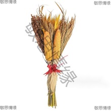 农家乐装饰挂件玉米麦穗水稻高粱小米干花蔬菜五谷杂粮真实农作