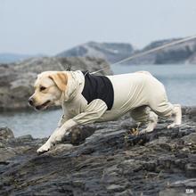 中大型犬跨境拉布拉多金毛柴犬四脚防水宠物狗狗雨衣冲锋衣服批发