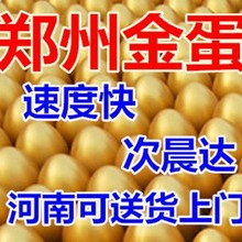 金蛋 各种型号金蛋河南厂家抽奖砸金蛋活动道具12CM15 20厘米包邮