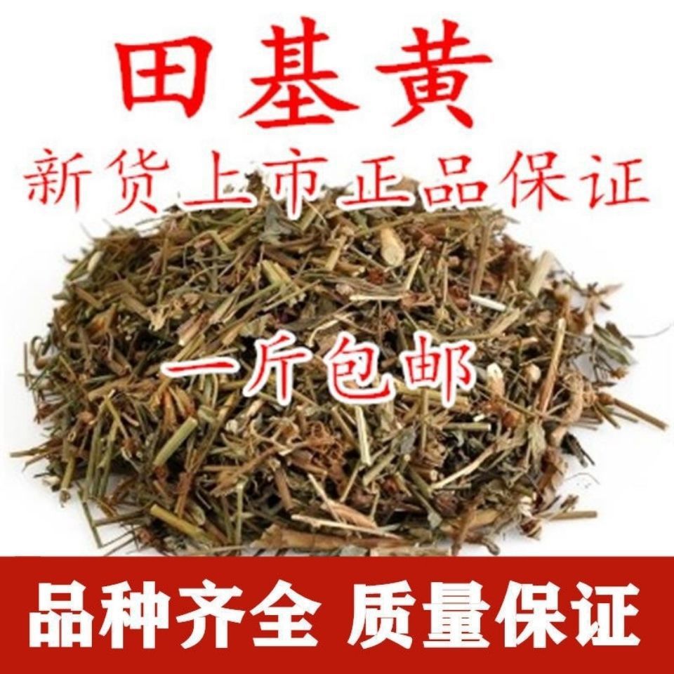 一件代发材天然野生田基黄格地耳草黄花草雀舌草跌水草多规格包邮