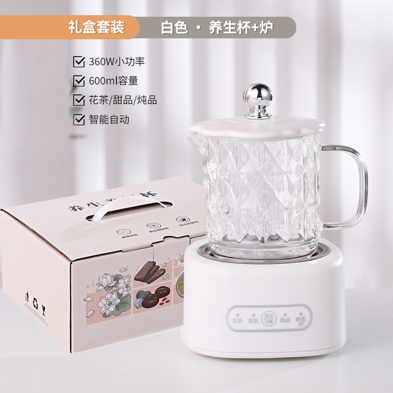 Health Pot Office Small Multi-Functional Mini Electric Kettle Health Bottle Fabulous Milker Heater Burning Flowers Tea Cup